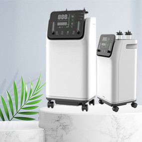 Dual Flow Portable 10L Oxygen Machine With Overload Protector