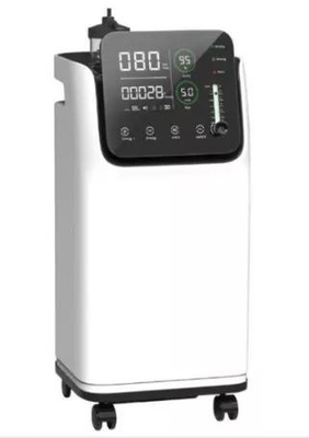 CE Approved Oxygen Breathing Machine Portable Generator For Snoring 5L
