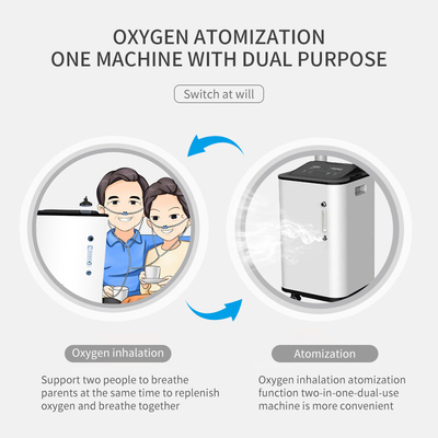 Small Purity 93% Portable O2 Concentrator 10L Class II