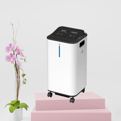Medical Home Care 5lpm O2 Concentrator Machineor Portable