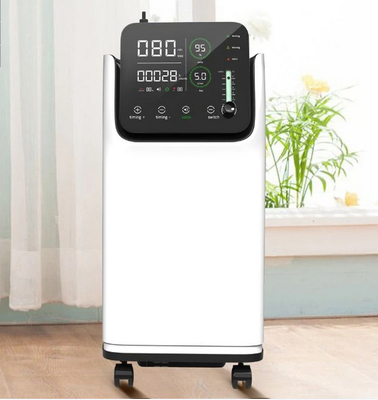 Custom Home Oxygen Concentrator 220v Hospital O2 Generator