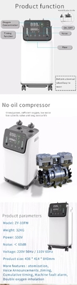 Dual Flow Mobile Oxygen O2 Concentrator Machine 10 L