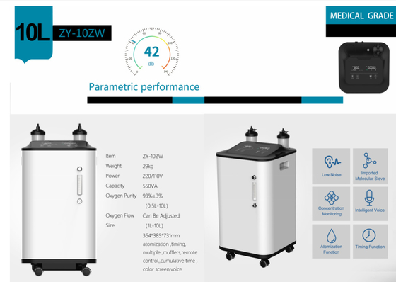 SGS 96% Purity High Flow Oxygen Machine 10 Liter O2 Oxygen Machine