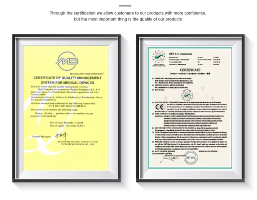SGS 96% Purity High Flow Oxygen Machine 10 Liter O2 Oxygen Machine