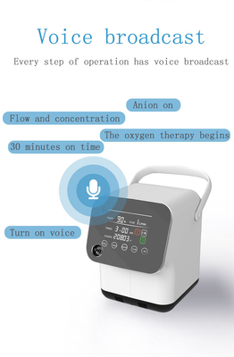 Outdoor Car Mini 2 Litre Oxygen Concentrator Generator For Room