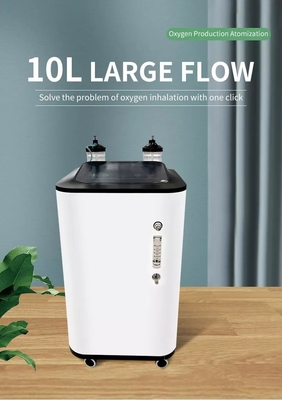 Custom Medical Grade Portable 10L Oxygen Concentrator Machine 220V