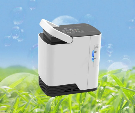 Single Flow Portable 2 Litre Oxygen Concentrator Home Use 220v